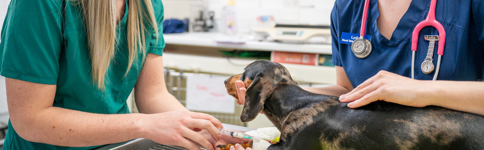 Heywood Veterinary Centre (Web) 084