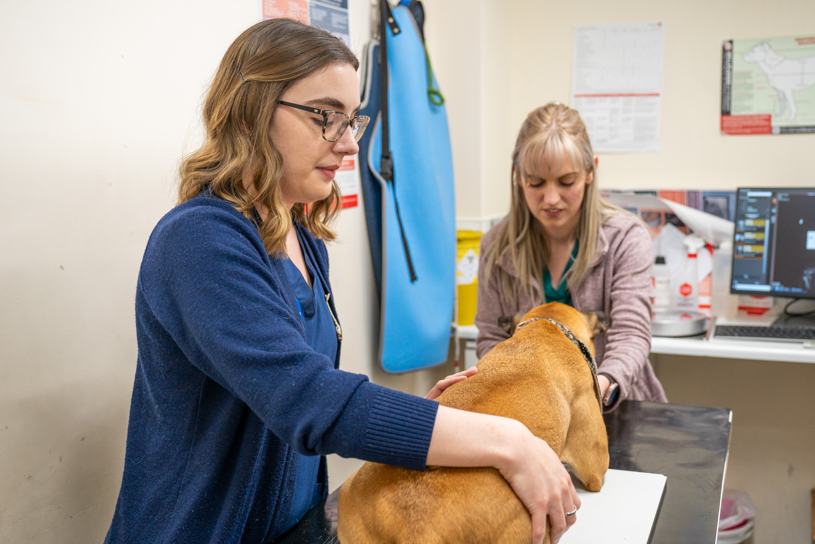 Heywood Veterinary Centre (Web) 134