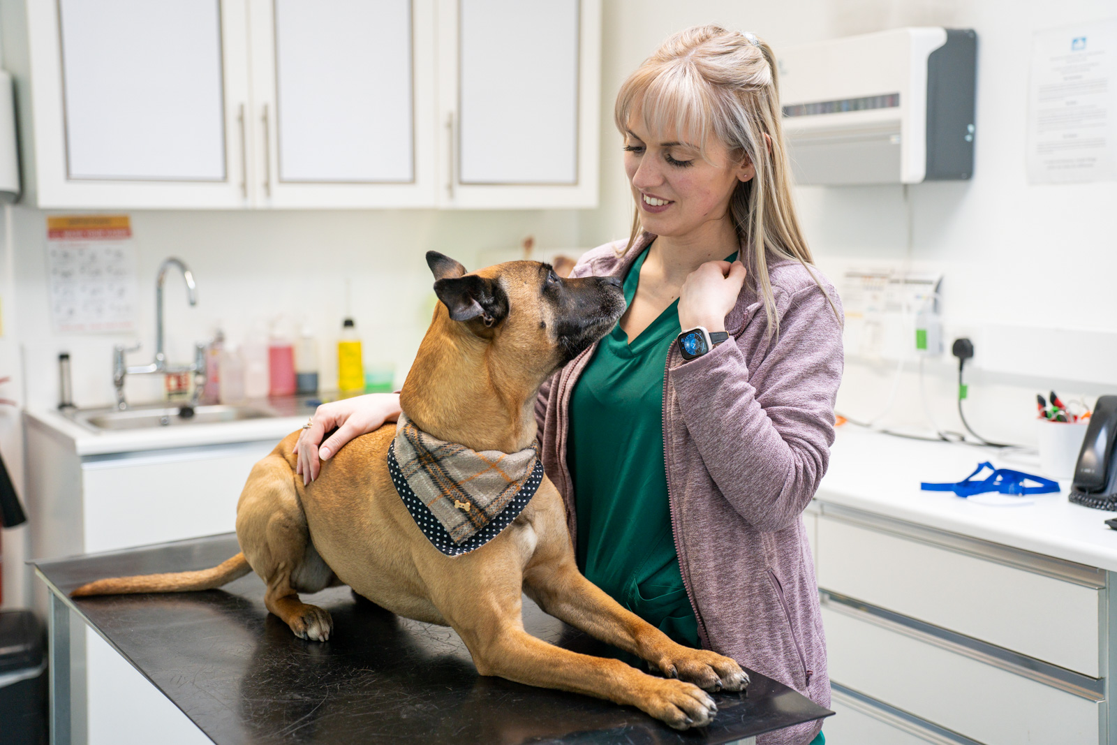 Heywood Veterinary Centre (Web) 151